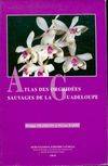 Atlas des orchidees sauvages de la Guadeloupe