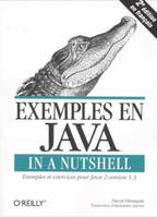 Exemples en Java in a Nutshell, exemples et exercices pour Java 2 version 1.3