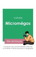 Réussir son Bac de français 2023 : Analyse de Micromégas de Voltaire