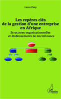 Les repères clés de la gestion d'une entreprise en Afrique, Structures organisationnelles et établissements de microfinance