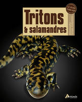 Tritons & salamandres - Salamandra, Cynops, Ambystoma, Salamandra, Cynops, Ambystoma