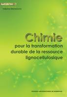 Chimie pour la transformation durable de la ressource lignocellulosique, Itinéraires d'orient