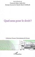 QUEL SENS POUR LE DROIT ?, actes de la journée d'étude, [tenue à la Faculté Jean Monnet, Sceaux], 10 décembre 2007