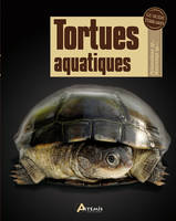Tortues aquatiques - Kinosternon sp., Graptemys sp., etc