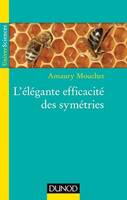 L'élégante efficacité des symétries