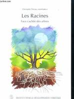 Les racines - face cachée des arbres, face cachée des arbres