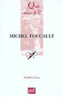 Michel foucault (3e ed) qsj 3118