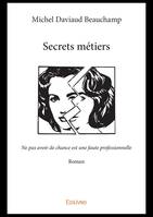 Secrets métiers, Ne pas avoir de chance est une faute professionnelle - Roman