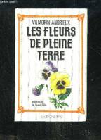 Les fleurs de pleine terre