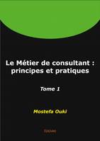 Le métier de consultant : principes et pratiques