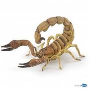 Scorpion