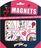 Miraculous-Pochette magnets