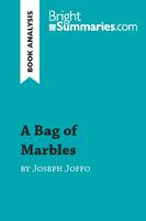 A Bag of Marbles by Joseph Joffo (Book Analysis), Detailed Summary, Analysis and Reading Guide