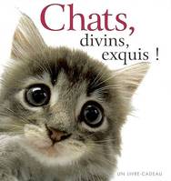 chats, divins, exquis !