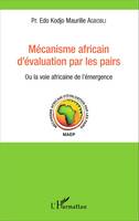 Mécanisme africain d'évaluation par les pairs, Ou la voie africaine de l'émergence