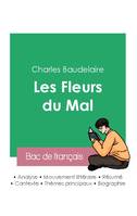 Réussir son Bac de français 2023 : Analyse des Fleurs du Mal de Baudelaire