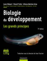 Biologie du développement - Les grands principes, Les grands principes