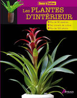 Les plantes d'intérieur