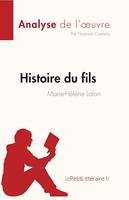 Histoire du fils de Marie-Hélène Lafon (Analyse de l'œuvre), Résumé complet et analyse détaillée de l'oeuvre