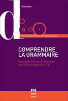 COMPRENDRE LA GRAMMAIRE POUR ENSEIGNER LA LANGUE, Une grammaire à l'épreuve de la didactique du FLE