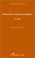 Démocratie et élections en Afrique, Les défis