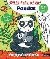 Pandas : Lettres et nombres GS