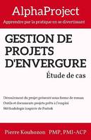 Gestion de projets d’envergure, Étude de cas