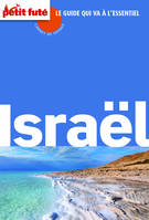 israel 2015 carnet de voyage petit fute