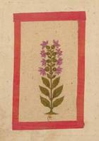 Carnet ligné Fleur 2, miniature Indienne 18e siècle