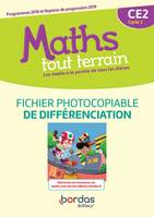 Maths tout terrain CE2 2020 Fichier photocopiable de différenciation