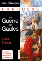 La Guerre des Gaules