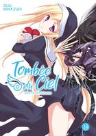 Tombée du Ciel - Tome 18