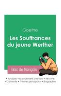 Réussir son Bac de français 2023 : Analyse des Souffrances du jeune Werther de Goethe