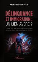 Délinquance et immigration : un lien avéré ?, Étude sur les mineurs délinquants détenus dans les Bouches-du-Rhône