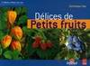 DELICES DE PETITS FRUITS