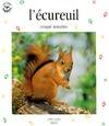 Ecureuil croque noisettes