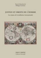 Justice et droits de l'homme, Les enjeux de la médiation internationale