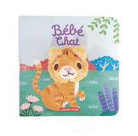 Bébé chat