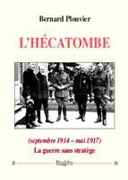 L’hécatombe (septembre 1914 – mai 1917), La guerre sans stratège