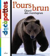 L'ours brun