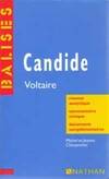 Candide, résumé analytique, commentaire critique, documents complémentaires