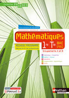 Mathématiques 1re/Term Bac Pro - Groupements A et B (Manuel) - (Pavages) - Livre + licence élève