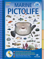 Marine Pictolife, Atlantique tropical ouest