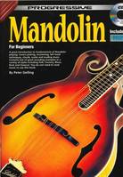 Mandolin For Beginners