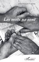 Les mots ne sont