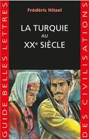 La Turquie au XXe siècle, Une passion française