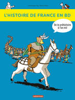 L'histoire de France en BD, Livre I, De la préhistoire à l'an mil, Tome 1 : De la Préhistoire à l'an Mil