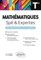 Mathématiques (Spé & Expertes) - Terminale, Approfondissements pour le supérieur