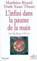 L'infini dans la paume de la main, du big bang à l'éveil