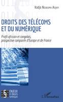 Droits des télécoms et du numérique, Profil africain et congolais, prospective comparée d'Europe et de France
